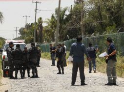 En una brecha del predio Santa María de Tlajomulco de Zúñiga, fue encontrado un hombre asesinado.  /