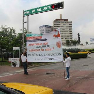 Seis de cada 10 trasplantes de riñón son realizados a hombres