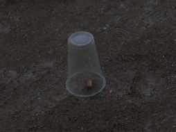 El atentado ocurrió a escasos 150 metros del ayuntamiento de Teloloapan. ARCHIVO /