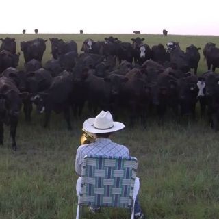 Granjero arrea a ganado con canción 'Royals' de Lorde