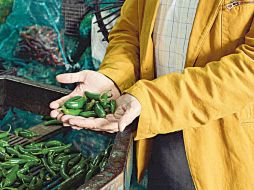 Producción. Creciente competencia.  /