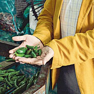 Amenazan Oriente y países andinos al chile