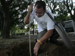 El apoyo de los vecinos, afirmaron representantes de Extra, es fundamental para la supervivencia de los árboles recién plantados.  /