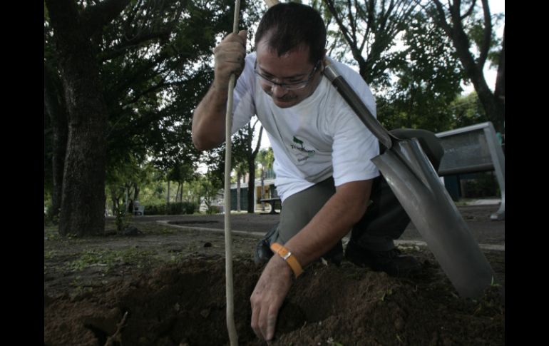 El apoyo de los vecinos, afirmaron representantes de Extra, es fundamental para la supervivencia de los árboles recién plantados.  /