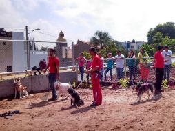 Además de este parque, la Red Parques Caninos pretende instalar otro en el fraccionamiento Villa Fontana.  /