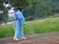 Según datos de la OMS, más de 900 pacientes han muerto por el virus. AFP /
