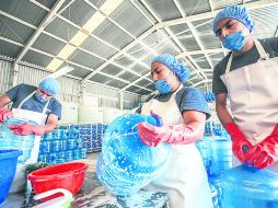 En riesgo. Los analistas advierten que las compañías podrían prescindir de algunos de sus trabajadores.  /