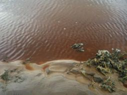 Cerca de 40 mil litros de ácido sulfúrico llegaron al río Sonora y ha afectado a siete municipios.  /