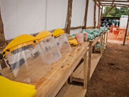 La OMS aprobó el uso de tratamientos experimentales para tratar de controlar el ébola en las regiones afectadas. AP /