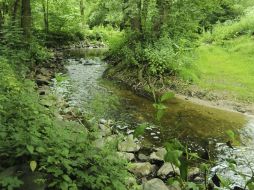 En un comunicado, la Profepa informa que el derrame se incorporó al arroyo 'La Cruz', que a su vez conecta con el arroyo 'Magistral'. ARCHIVO /