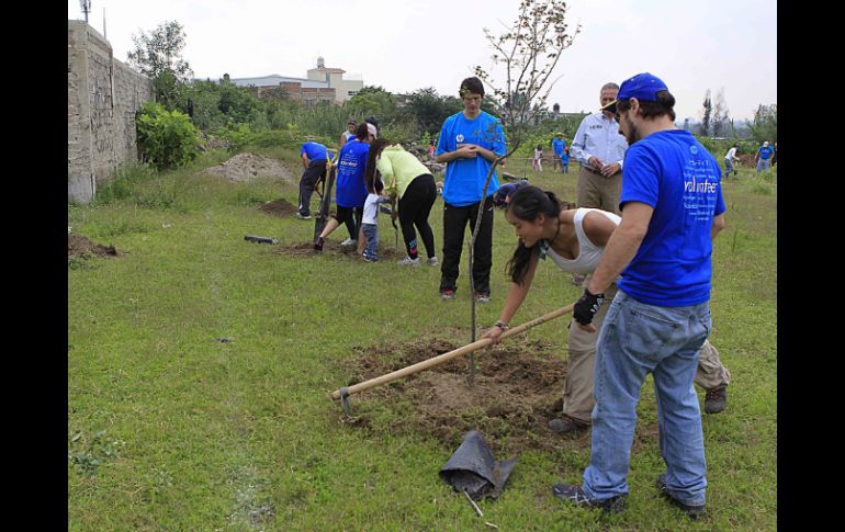 El Bosque Pedagógico del Agua será reforestado con especies nativas para aumentar la posibilidad de supervivencia.  /
