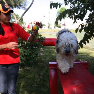Tonalá abre su primer parque canino