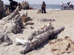 La playa donde sucedió el incidente es famosa por albergar la residencia de Salvador Dalí. ARCHIVO /