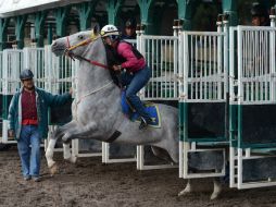 Garrido sabe que el camino es pesado, pero quiere montar también en EU. AP /