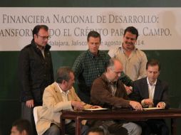 Peña Nieto informó que hoy mismo giró la instrucción para que la Financiera Nacional de Desarrollo comience a aplicar las facilidades.  /