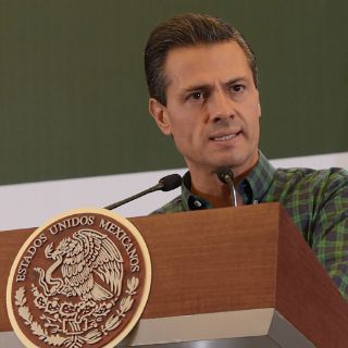Peña Nieto declina realizar el 'reto de la cubeta con hielo'