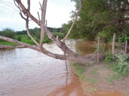 Reiteran que la mina es la responsable directa de verter 40 mil metros cúbicos de sulfato de cobre a los ríos Sonora y Bacanuchi. ARCHIVO /