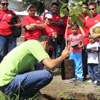 Extra AC suma 30 mil árboles plantados