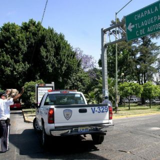 Guadalajara prepara trasplante forestal masivo