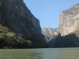 Dependiendo del tipo de embarcación, podrás disfrutar de un paseo rápido por el río. Existen barcos hasta para 15 pasajeros.  /