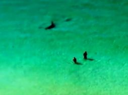 El video ya cuenta con más de un millón de reproducciones. ESPECIAL /