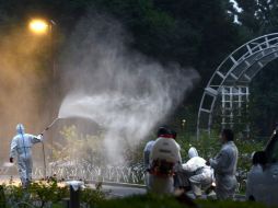 Trabajadores del gobierno atraparon a 35 mosquitos entre la noche del martes 26 de agosto y la mañana siguiente. AP /