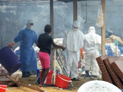 Combatir la amenaza global del ébola podría costar más de 600 MDD según la OMS. AFP /