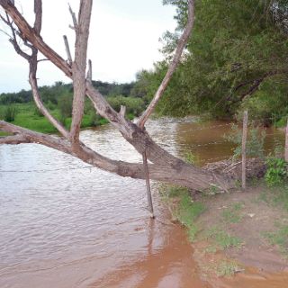 Presentan demanda colectiva contra Grupo México