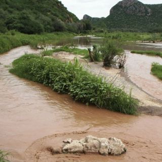Grupo México crea reserva de 300 MDP para reparar daños