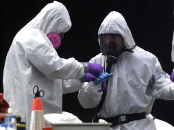 Autoridades sanitarias alertan a la población para que adquiera carnes y derivados en lugares seguros. ARCHIVO /