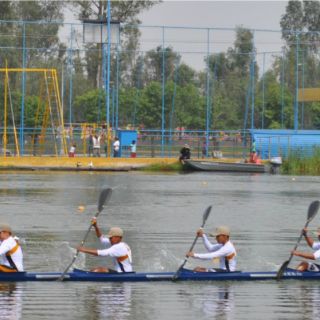 México suma medallas de oro en Festival Panamericano