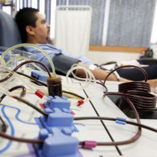 Nueva norma garantiza calidad de sangre donada