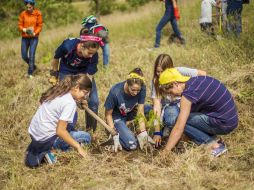 Fueron 95 estudiantes los que participaron en la reforestación en el Bosque de la Primavera.  /