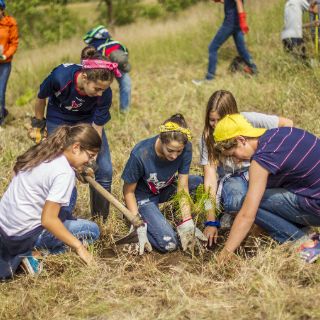Estudiantes reforestan La Primavera