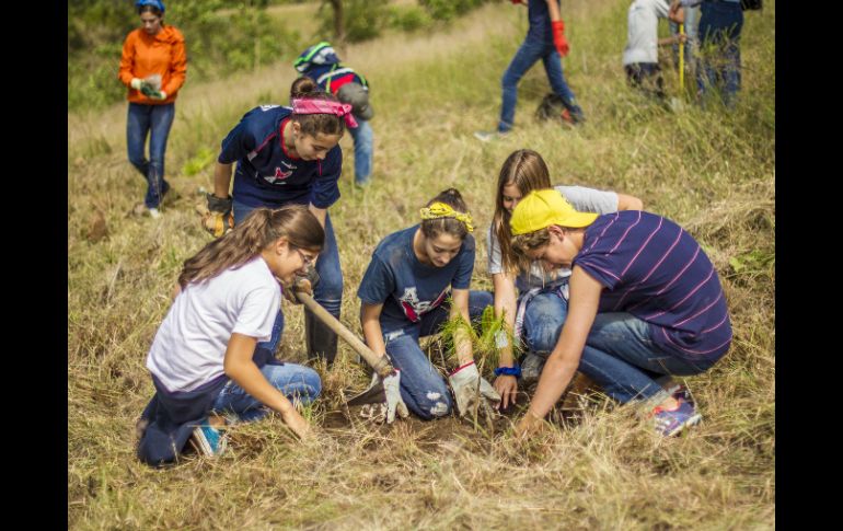 Fueron 95 estudiantes los que participaron en la reforestación en el Bosque de la Primavera.  /