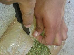 En el cargamento de carbón se encontraron unos seis mil 117 paquetes que en su interior ocultaban mariguana. ARCHIVO /