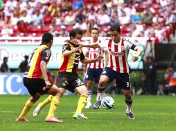 Los Leones Negros pierden 3-0 ante el Rebaño.  /
