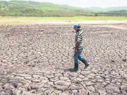 SECO. El embalse Las Canoas, en Managua, sin agua. Se perdieron 2,500 cabezas de ganado. AFP /