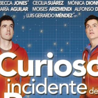 Alfonso Dosal saca a pasear al perro