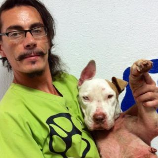 Realizan en Guadalajara 'Activismo por los animales'