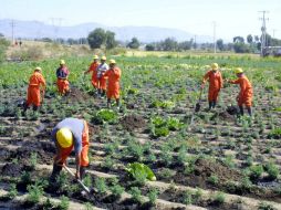 Trabajadores limpian una zona tras un derrame de petróleo a causa de una toma clandestina. NTX ARCHIVO  /