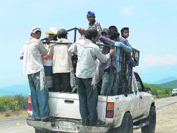 ¡SUBEN!. El servicio de transporte que reciben los jornaleros es deficiente e inseguro. EL INFORMADOR M. Vargas  /