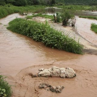 Anuncian fideicomiso por dos mil MDP por derrame en Sonora