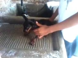 En las imágenes no se puede ver la cara de quien hizo el video. YOUTUBE  GeMiTi17  /