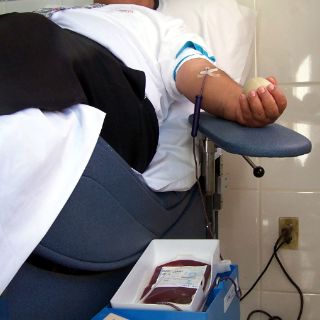 Advierten sobre enfermedades causadas por sangre contaminada