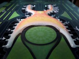 El nuevo aeropuerto tendrá seis pistas de aproximación triple simultánea. TWITTER @SCT_mx  /