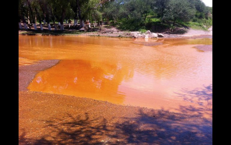 Cuarenta mil metros de sulfato de cobre acidulado se derramaron en el río Sonora, que contamina el suelo y agua. AP ARCHIVO  /