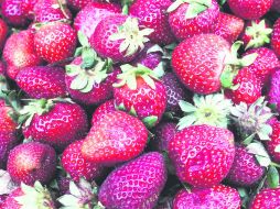 COMPATIBILIDAD. Este tipo de instalaciones muestra que la comunión entre naturaleza y espacio urbano es posible.EL INFORMADOR A. García  /