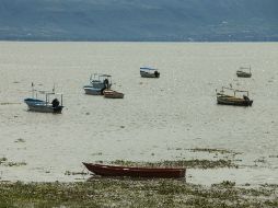 Sólo este fin de semana el lago logra recibir 40 millones de metros cúbicos. EL INFORMADOR ARCHIVO /