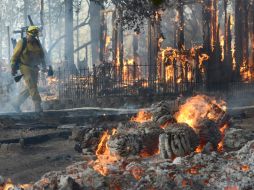 Las altas temperaturas, el viento y la sequía crónica son responsables por el desastre. AFP  M. Crosse  /